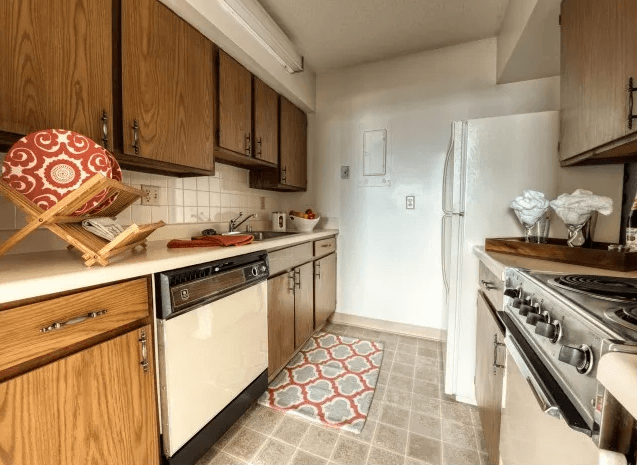 Classic apartment  kitchen