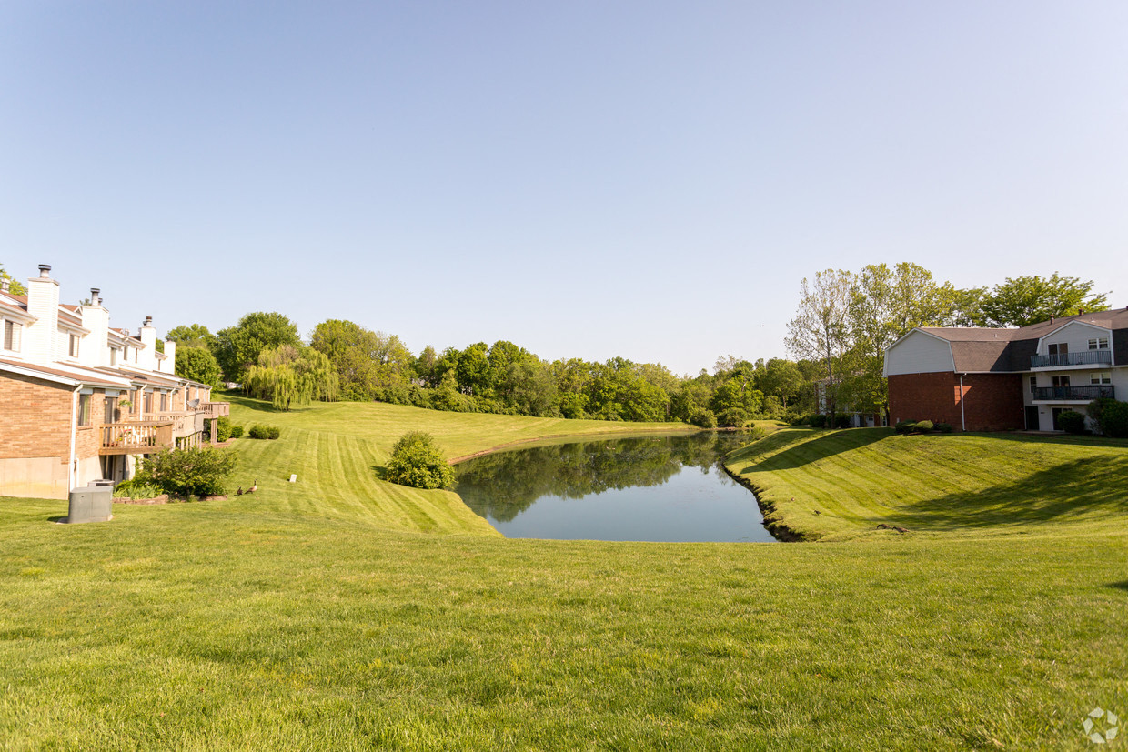 a small pond in the middle of a grassy field with buildings
