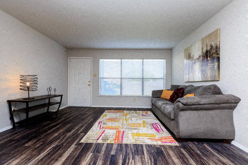 a living room with a couch and a rug