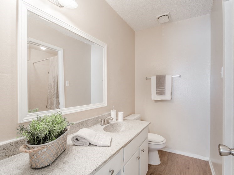 a bathroom with a mirror and a toilet and a sink