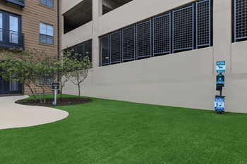 A small tree is planted in a circle of dirt next to a building.