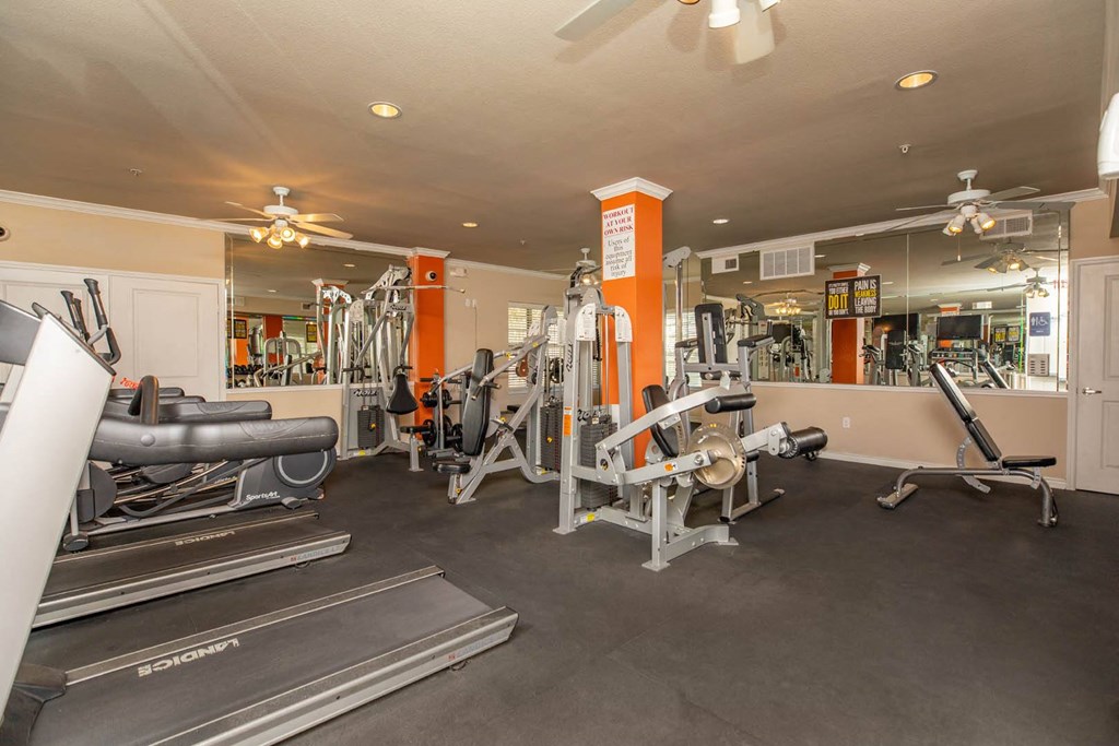 A gym with treadmills, weights and exercise equipment.