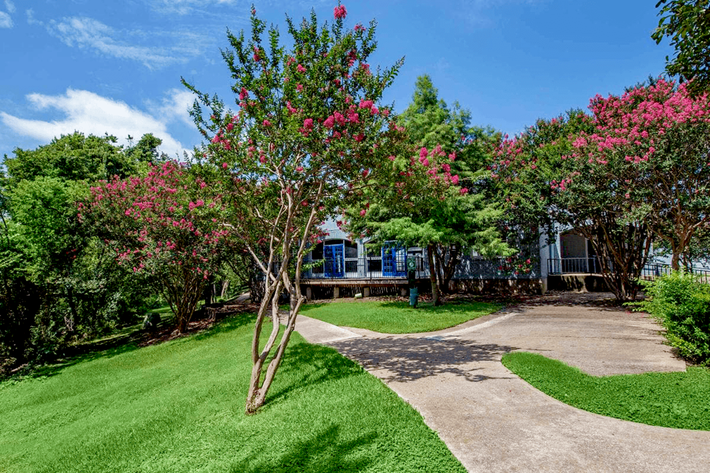 a yard with a driveway and a house in the background