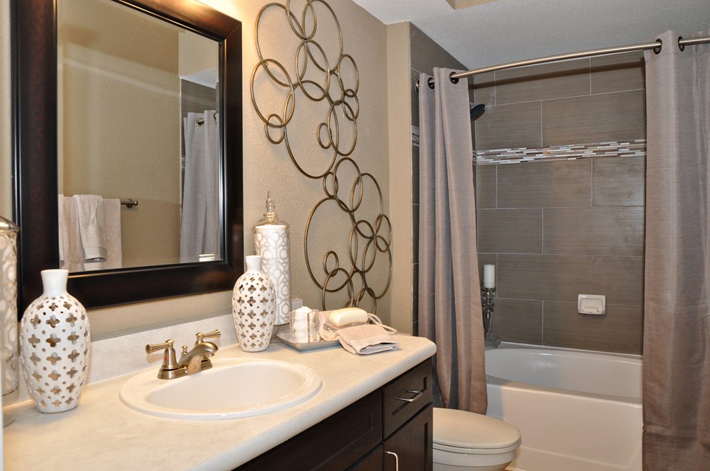 a bathroom with a sink and a mirror and a shower
