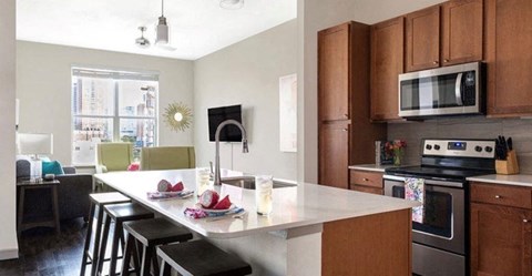 Kitchen at 1711 Caroline, Texas, 77002