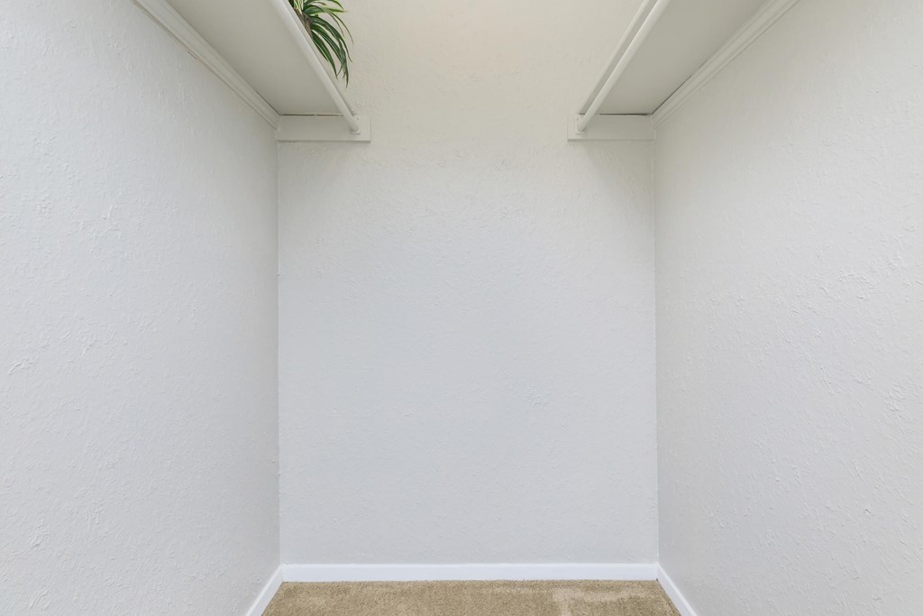 an empty room with white walls and a plant in the corner