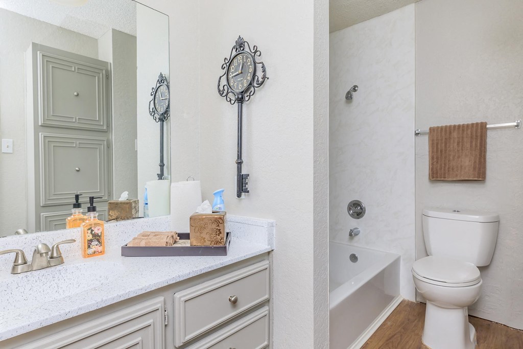 a bathroom with a toilet and a sink and a mirror