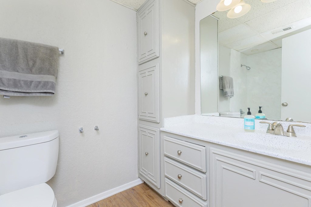a bathroom with a toilet and a sink and a mirror