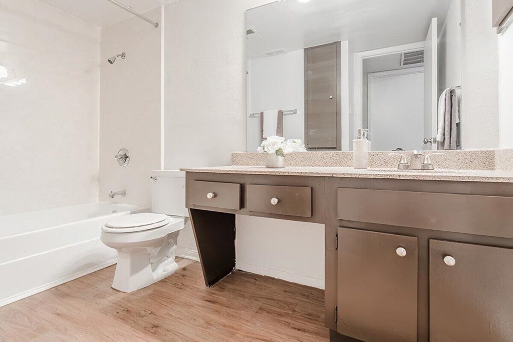 a bathroom with a toilet and a sink and a mirror