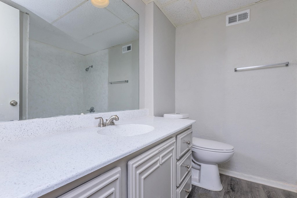 a bathroom with a sink and a toilet and a mirror