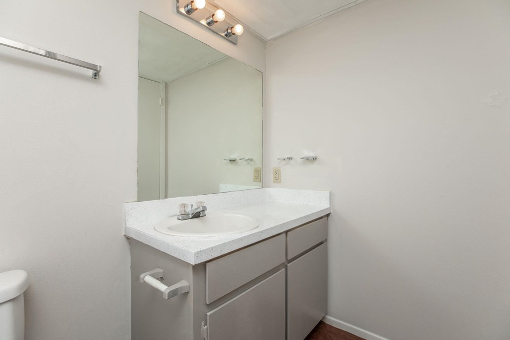 a bathroom with a sink and a mirror and a toilet