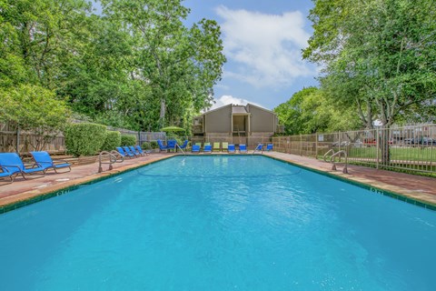 A large swimming pool surrounded by trees and blue lounge chairs.