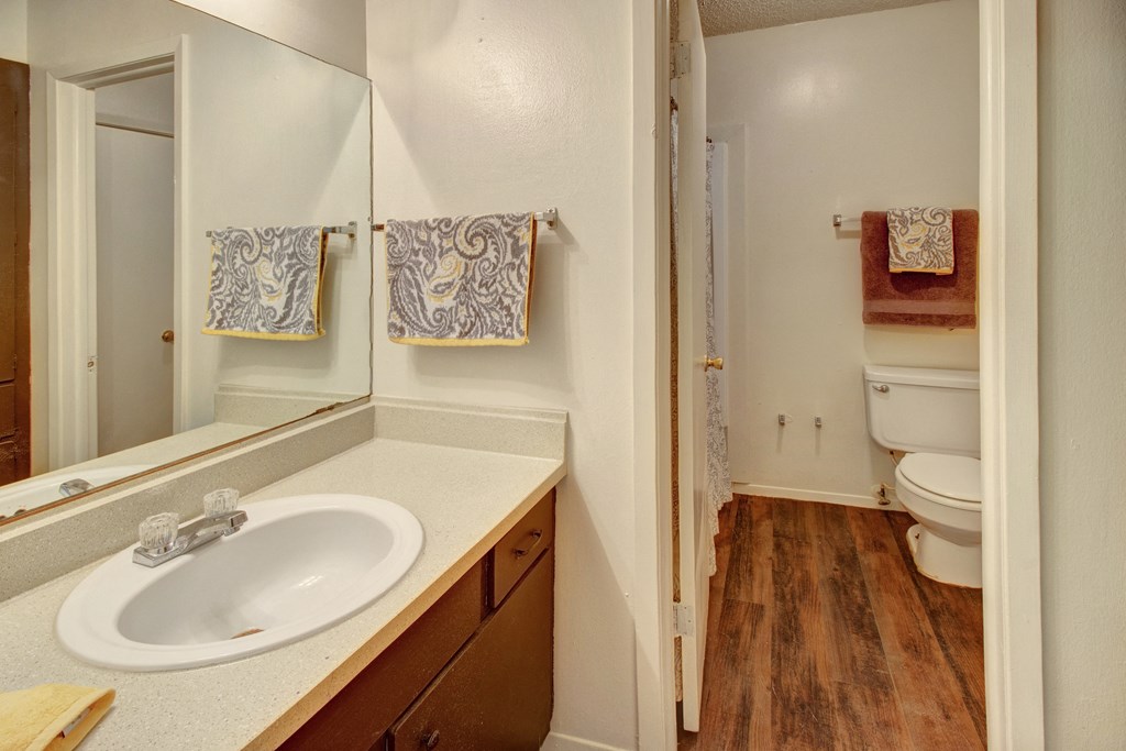 a bathroom with a sink and a mirror and a toilet