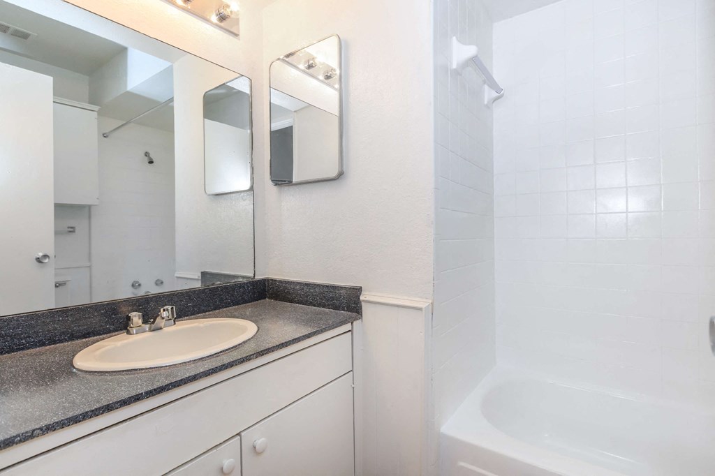 a bathroom with a sink and a shower and a mirror