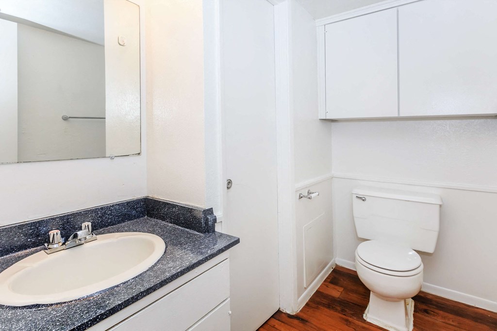 a bathroom with a sink toilet and a mirror
