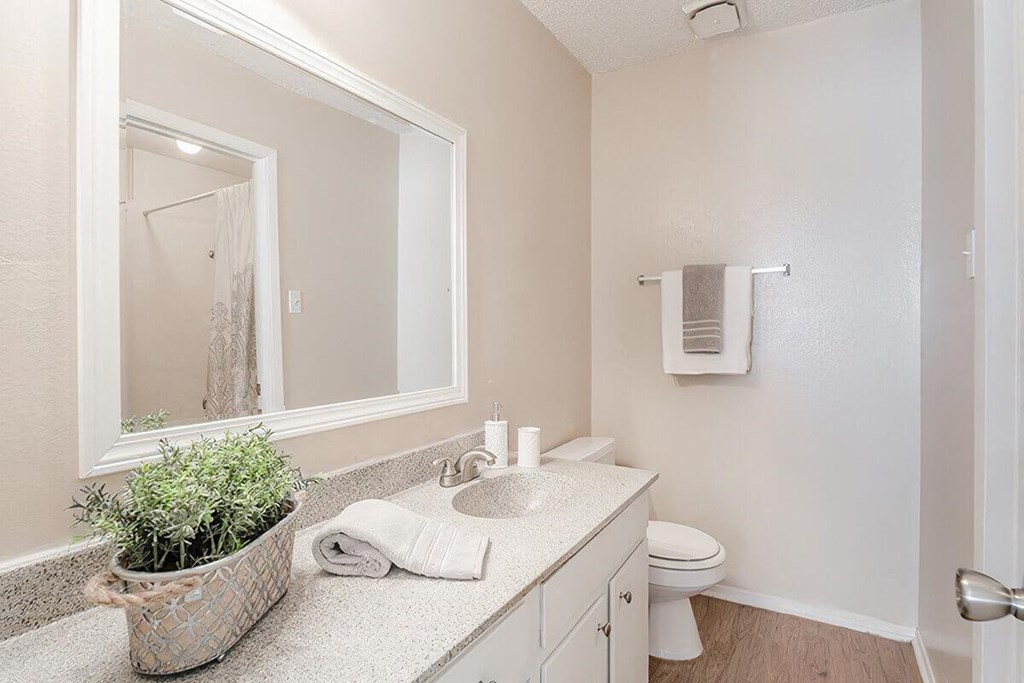 a bathroom with a mirror and a toilet and a sink
