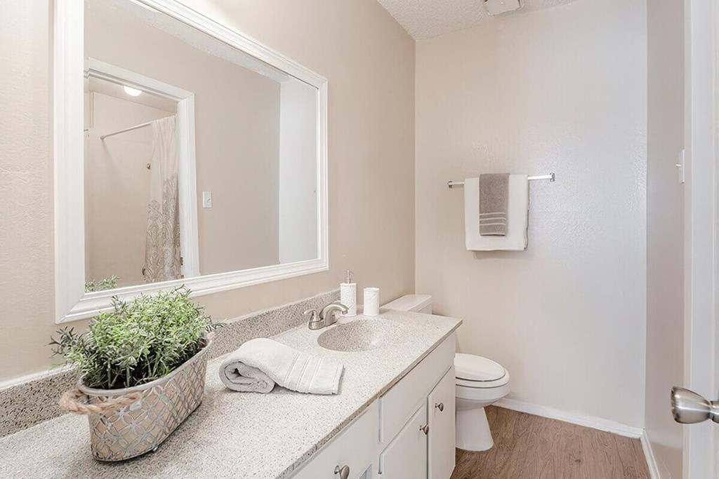 a bathroom with a mirror and a toilet and a sink