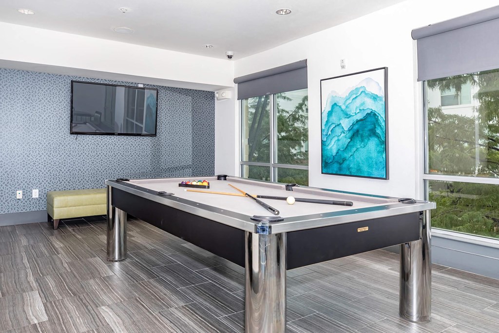 a games room with a pool table and a tv