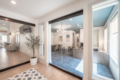 a living room with a large mirror and a rug
