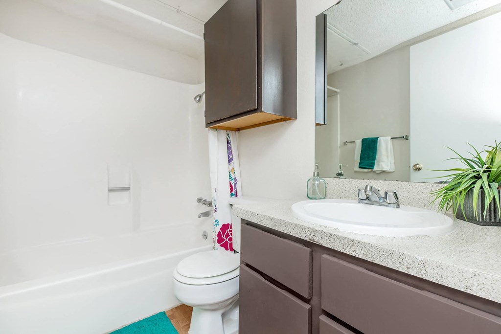 a bathroom with a sink toilet and a mirror