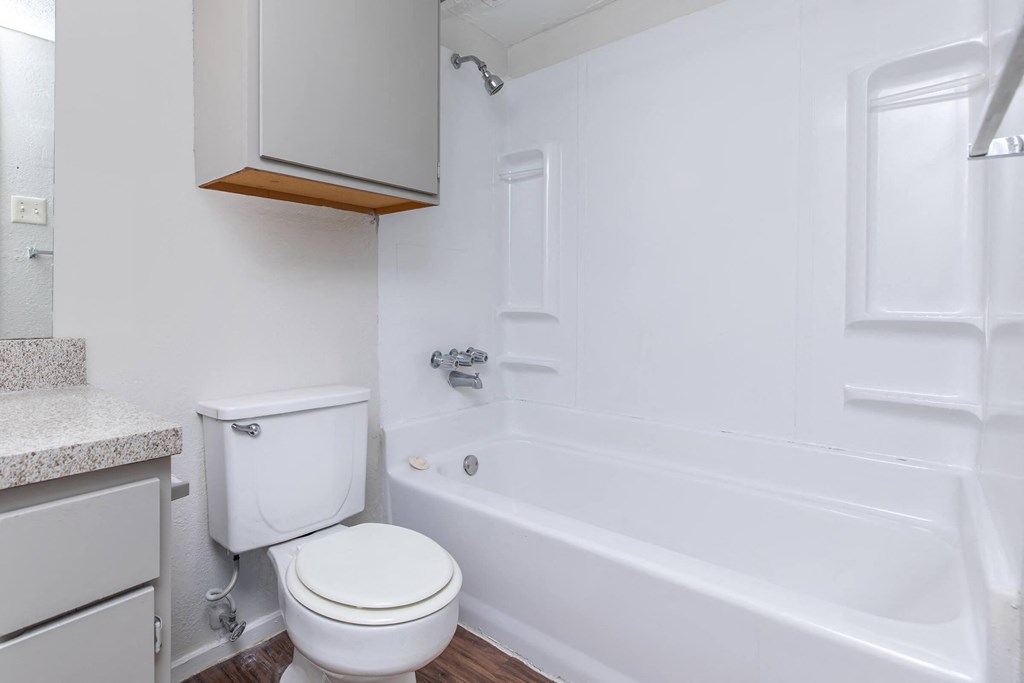 a bathroom with a toilet and a tub and a sink