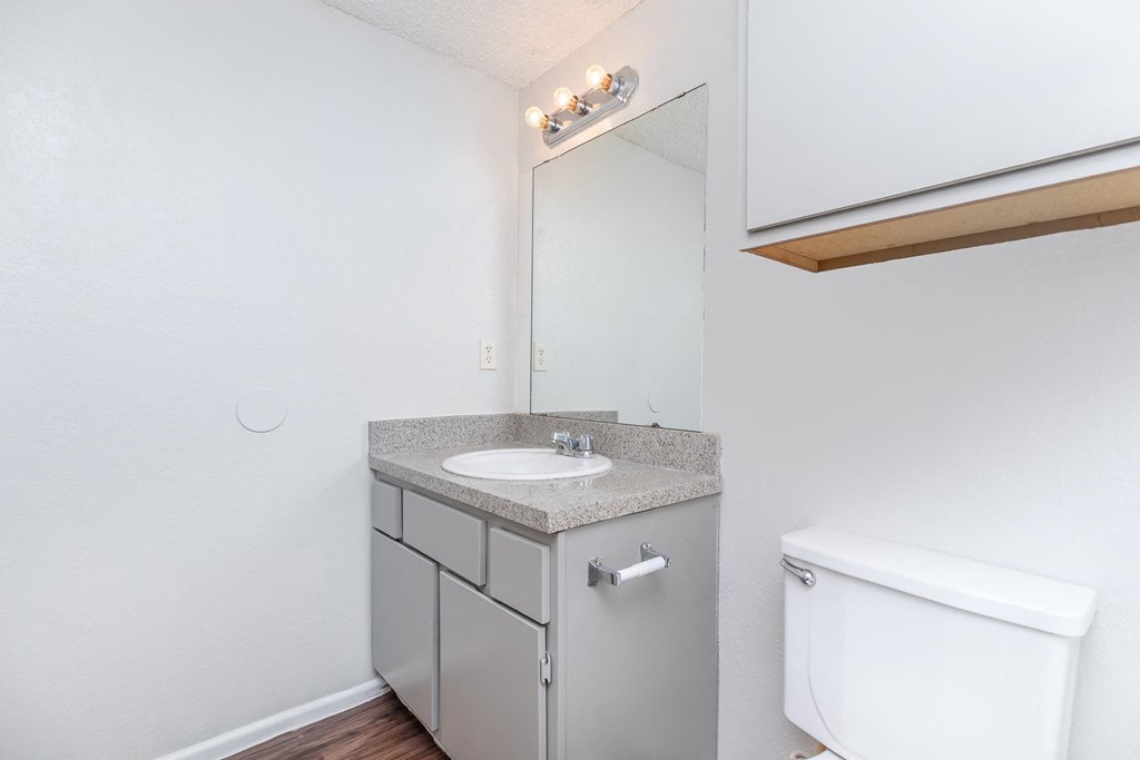 a bathroom with a sink and a toilet and a mirror