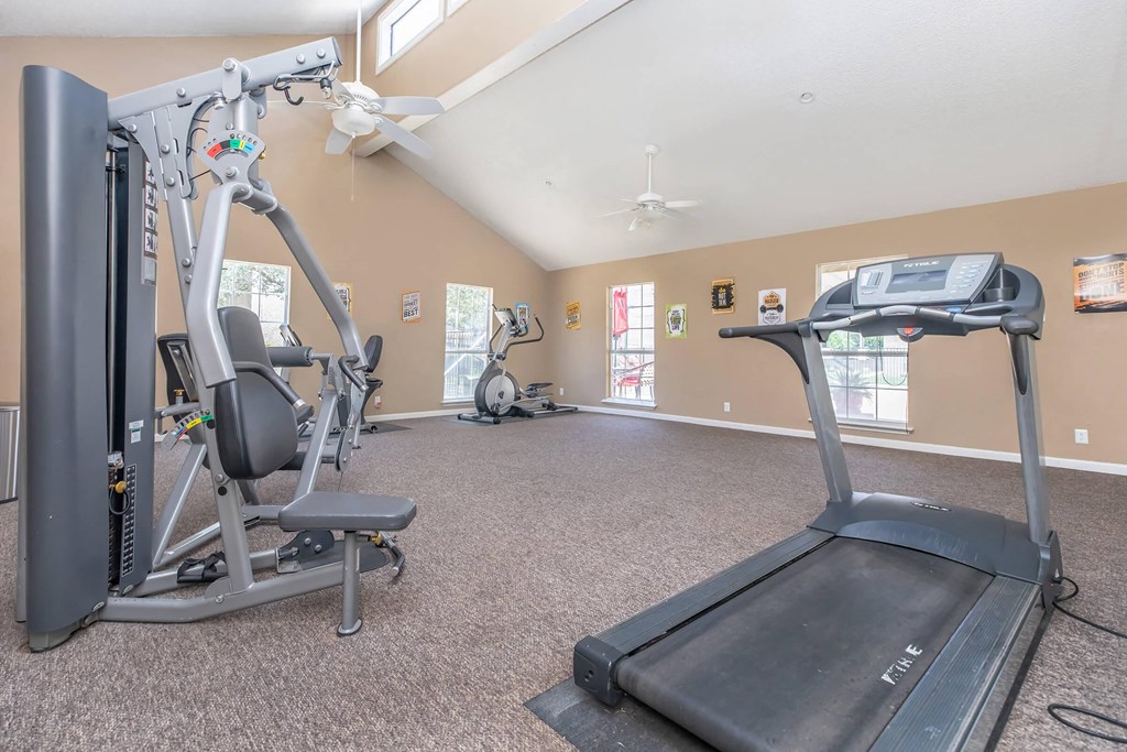 the gym has plenty of equipment for everyone to use