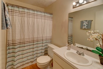 2701 Southwest Drive 1-3 Beds Apartment for Rent - Photo Gallery 3