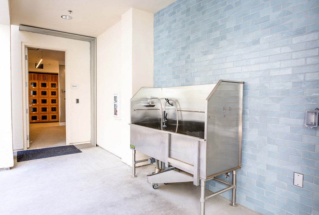 a stainless steel pet spa on the podium