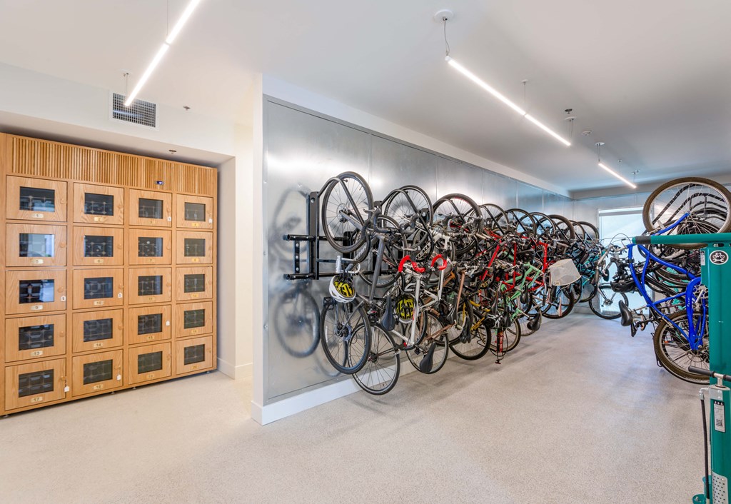 a group of bikes locked in a room with wine lockers