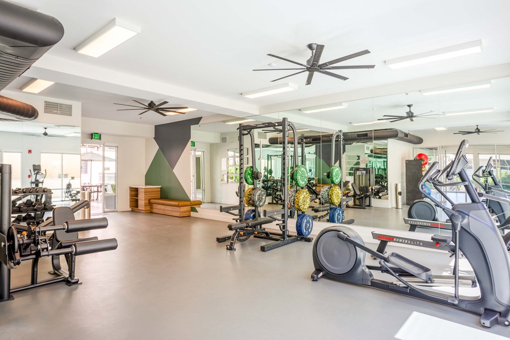 a gym with weights and other exercise equipment in the fitness gym