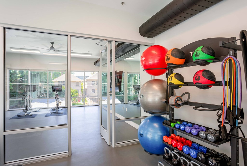 a workout room with a wall of weights and a glass door