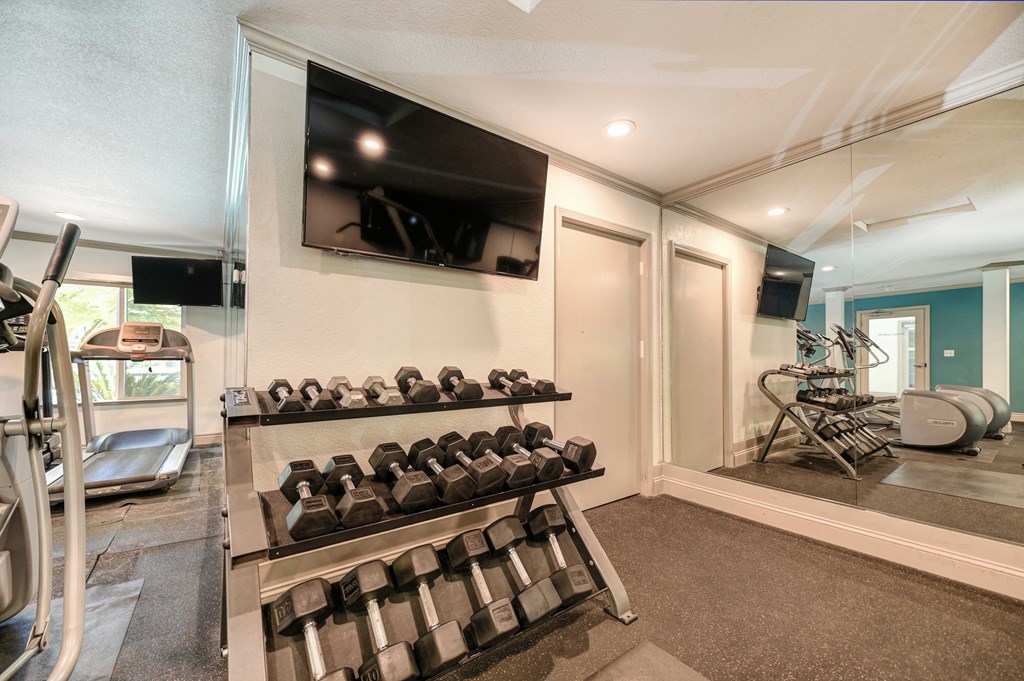 A home gym with a television, weights, and exercise equipment.