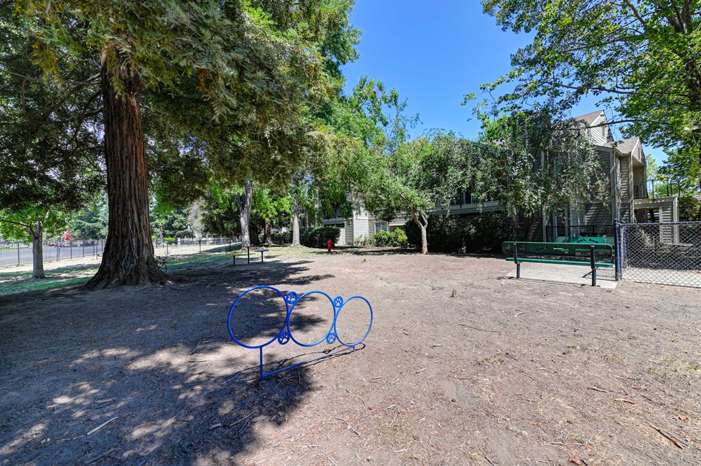 A blue metal sculpture of three interconnected circles sits in a park.