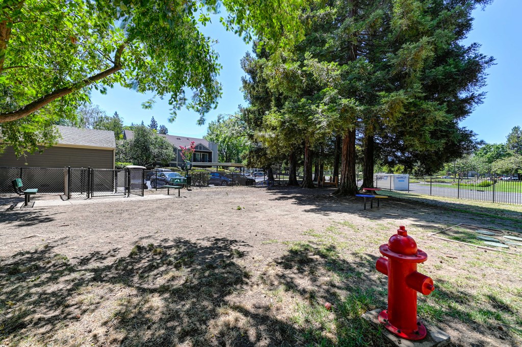 A red fire hydrant stands in a field of dirt.