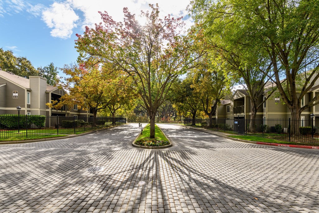 Harbor Oaks apartment buildings among the trees