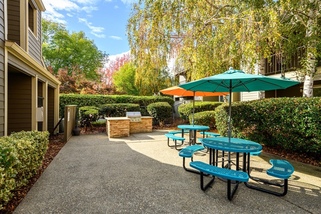 bbq picnic area with tables and umbrellas