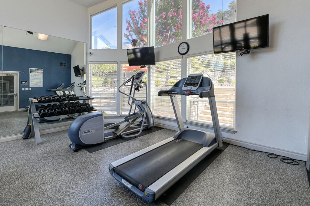 Lake Pointe Fitness Equipment