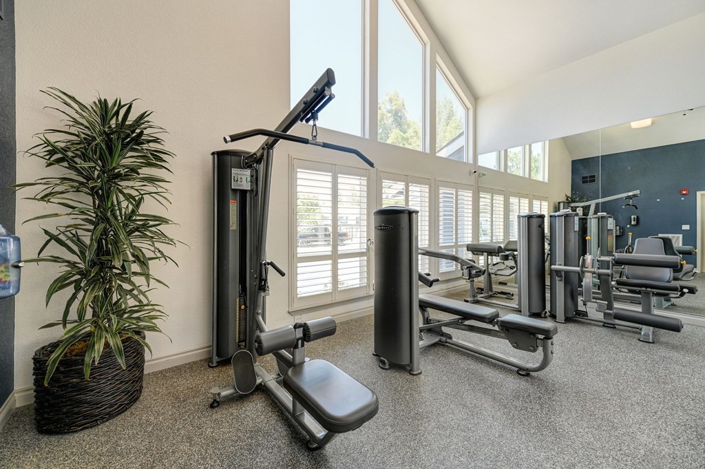 Lake Pointe 24-Hour Fitness Center