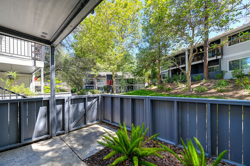 Lake Pointe Patio Views
