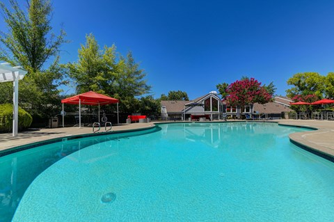 Lake Pointe Pool