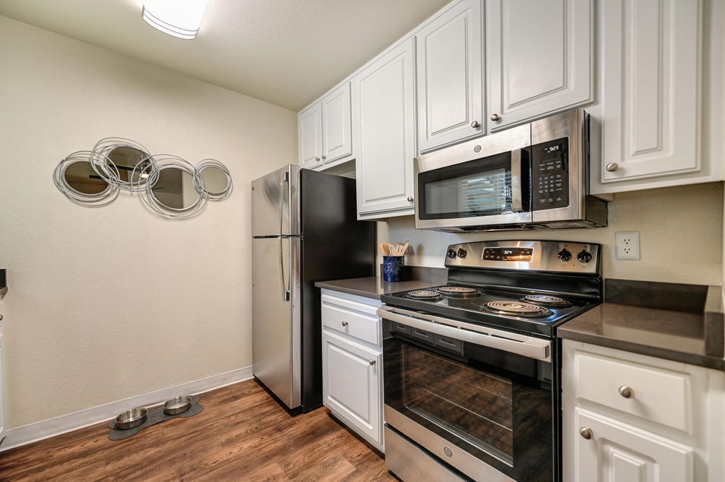 Stainless Steel Appliances