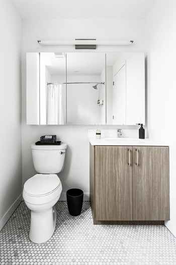 235 Grand Street Studio-2 Beds Apartment for Rent - Photo Gallery 2