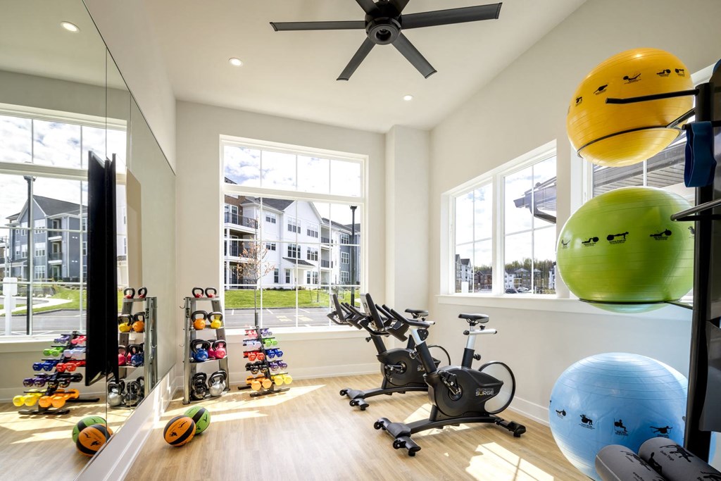 a home gym with weights and balls and a ceiling fan
