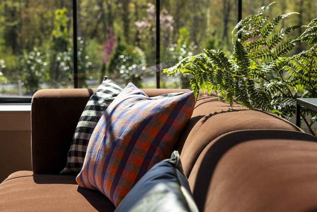 a couch with pillows and a window with plants