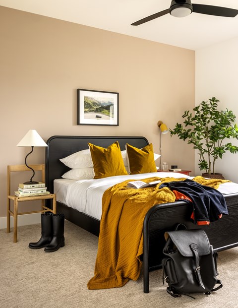 A bedroom with a bed, a ceiling fan, a nightstand, a plant, and a backpack.