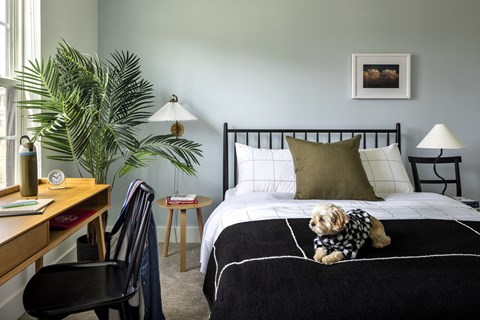 A dog wearing a sweater sits on a bed in a bedroom.
