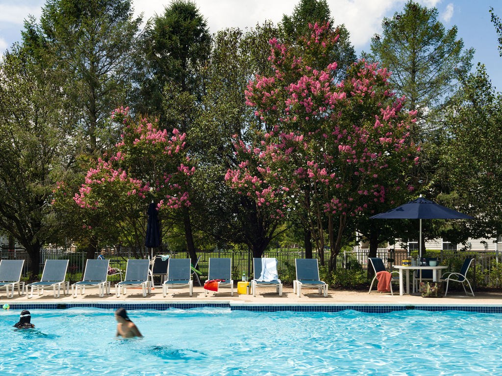 two people swimming in a pool with chairs and umbrellas