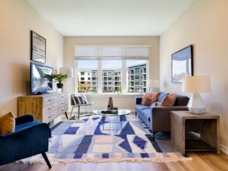 151 Centre Street Studio-3 Beds Apartment for Rent - Photo Gallery