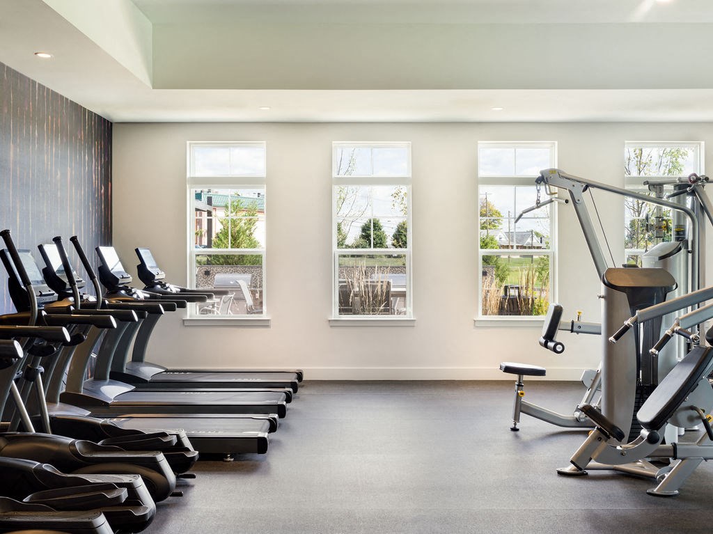 a row of cardio machines and weights in a gym